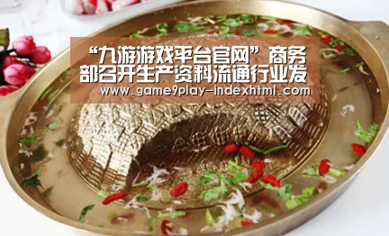“九游游戏平台官网”商务部召开生产资料流通行业发展年度形势分析会(图2)