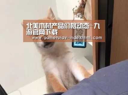 九游游戏中心官网