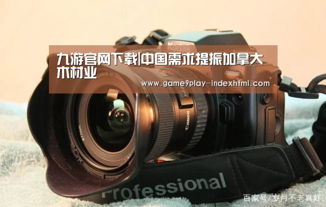 九游官网下载|中国需求提振加拿大木材业(图2) 九游官网下载|中国需求提振加拿大木材业(图2)