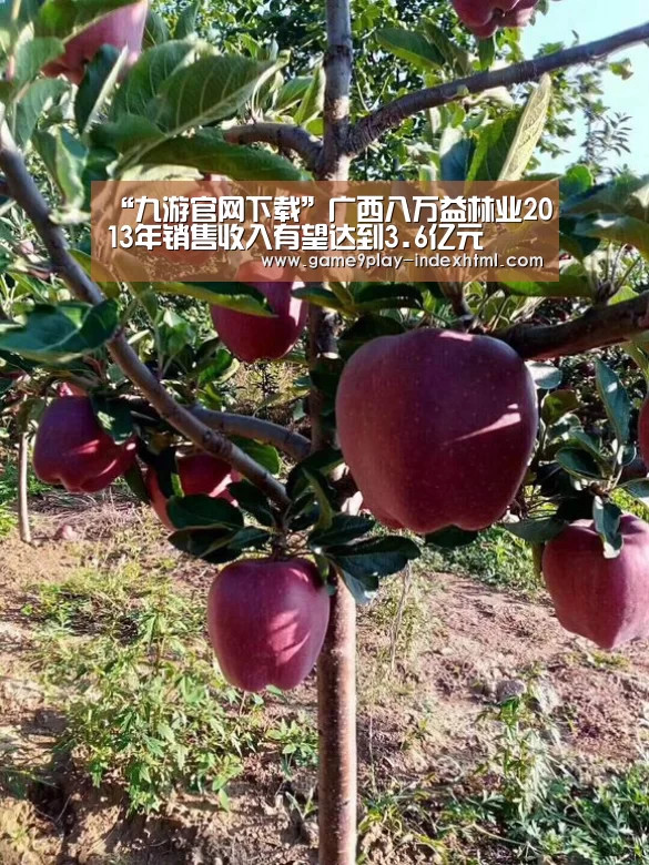 “九游官网下载”广西八万益林业2013年销售收入有望达到3.6亿元(图1) “九游官网下载”广西八万益林业2013年销售收入有望达到3.6亿元(图1)
