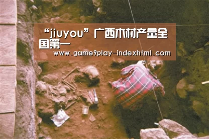 “jiuyou”广西木材产量全国第一(图2) 九游游戏中心官网