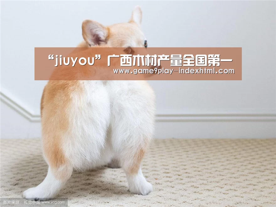 “jiuyou”广西木材产量全国第一(图3) 九游游戏盒子