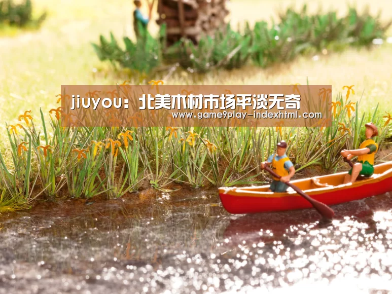 jiuyou：北美木材市场平淡无奇(图1)