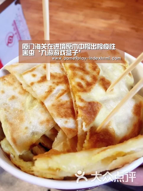 厦门海关在进境原木中检出检疫性害虫‘九游游戏盒子’(图1) 九游游戏平台官网