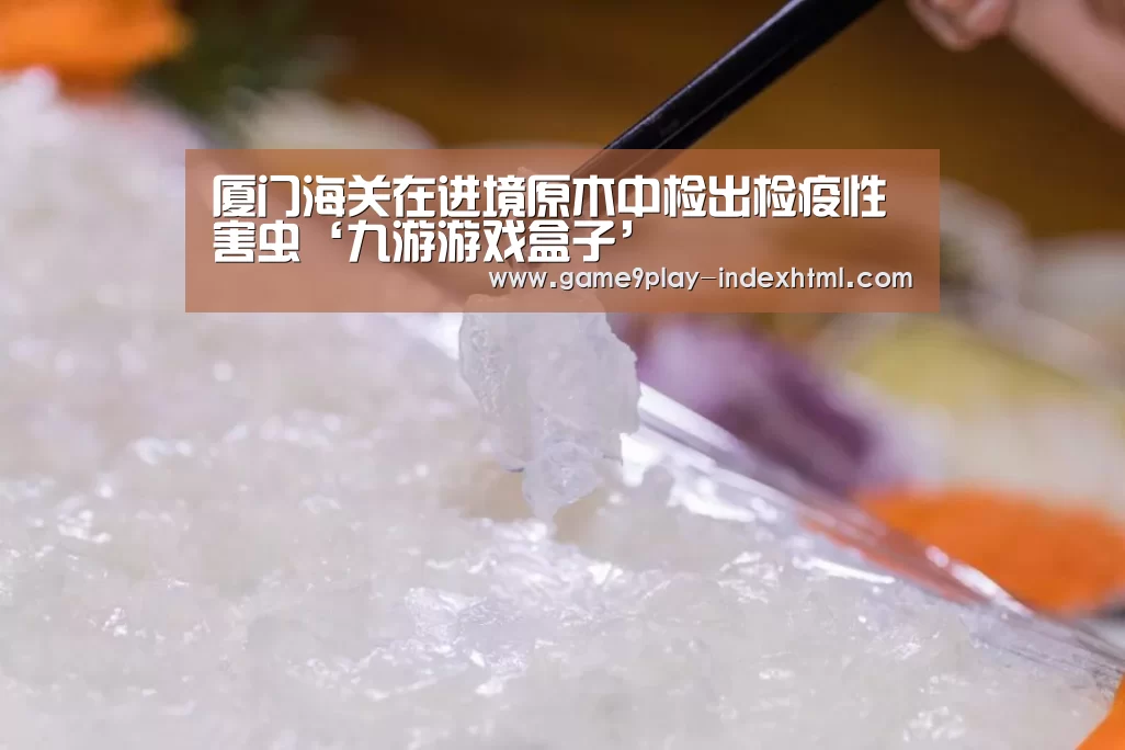 厦门海关在进境原木中检出检疫性害虫‘九游游戏盒子’(图4) 九游游戏平台官网