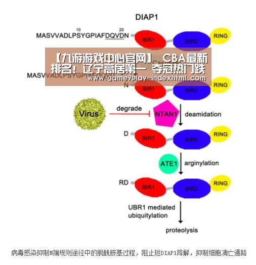 九游游戏平台官网