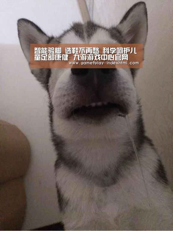 智能验脚 选鞋不再愁 科学呵护儿童足部康健-九游游戏中心官网(图1) 九游游戏中心官网